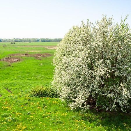 White Camomile Condo Sventoji Bagian luar foto