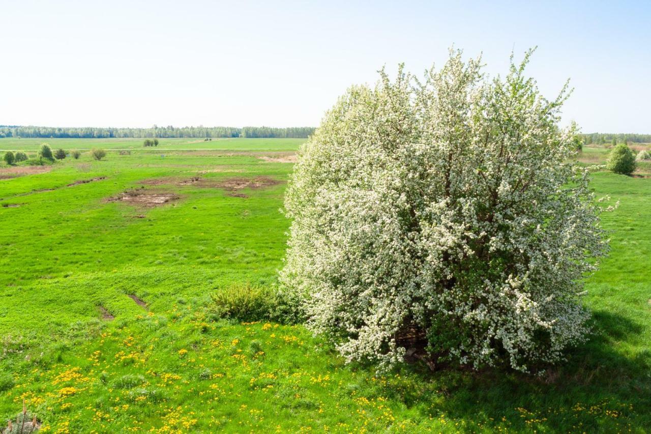 White Camomile Condo Sventoji Bagian luar foto